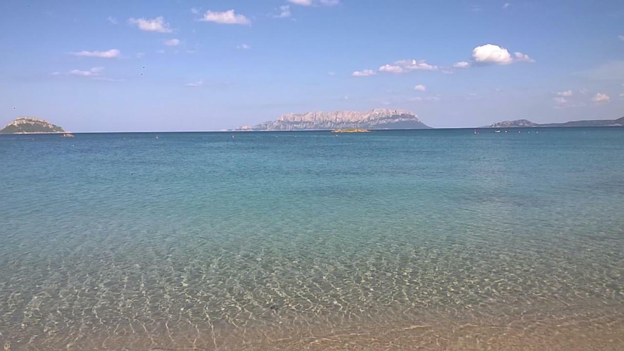 Stefano Casa Vacanze Viddalba Exterior foto